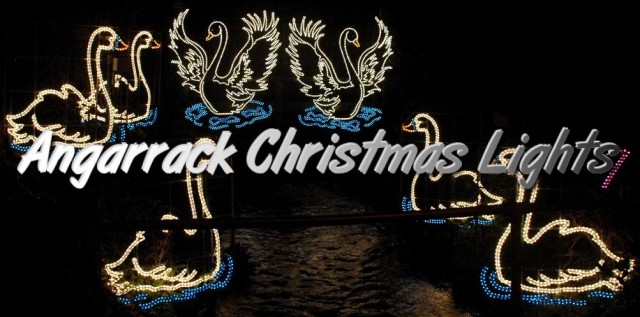 Angarrack Christmas Lights - 07 - Swans A Swimming
